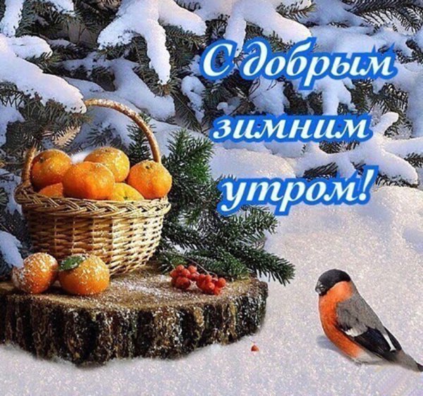 Зимний натюрморт