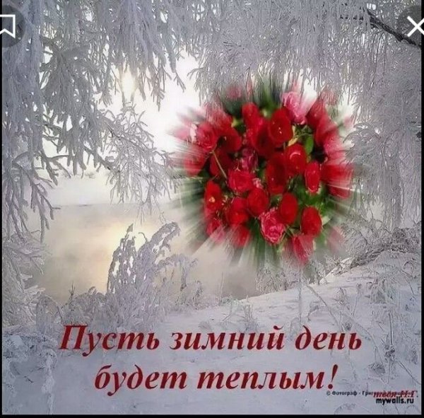 Букет белых роз на снегу