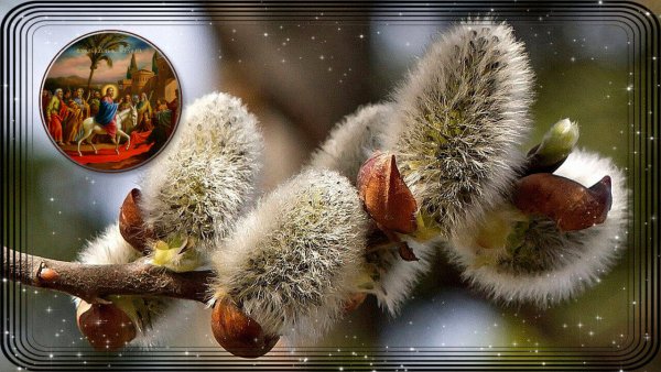 Пусть приходит Вербное