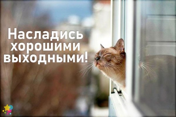 Хороших выходных кот
