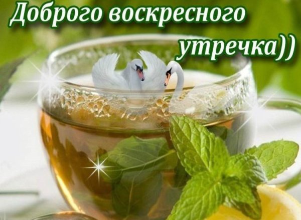 Прикольные поздравления с воскресеньем