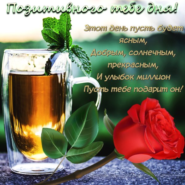 Хорошего воскресного дня и отличного настроения