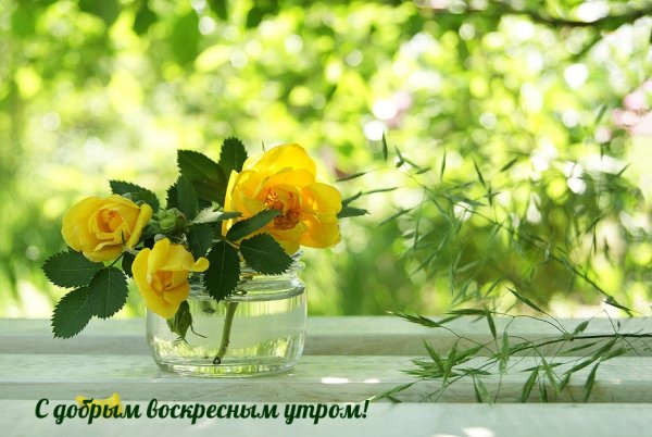 Пожелания на воскресенье