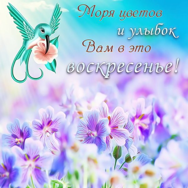 Открытки с добрым утром воскресенья