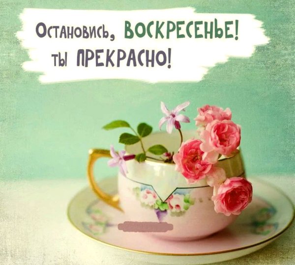 Открытки с добрым утром воскресенья