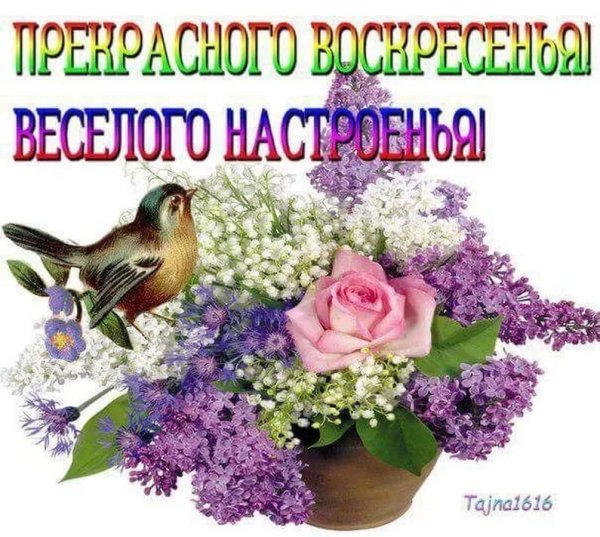 С добрым воскресным утром