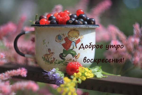 Доброе утро воскресенье лето