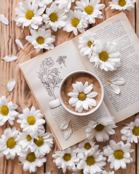 Добрый день стильно