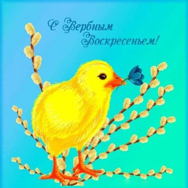 С Вербным воскресеньем открытки