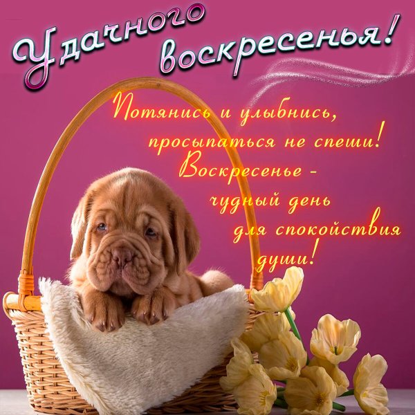 Открытки хорошего воскресенья