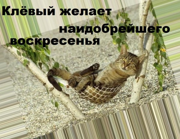 Воскресенье выходной