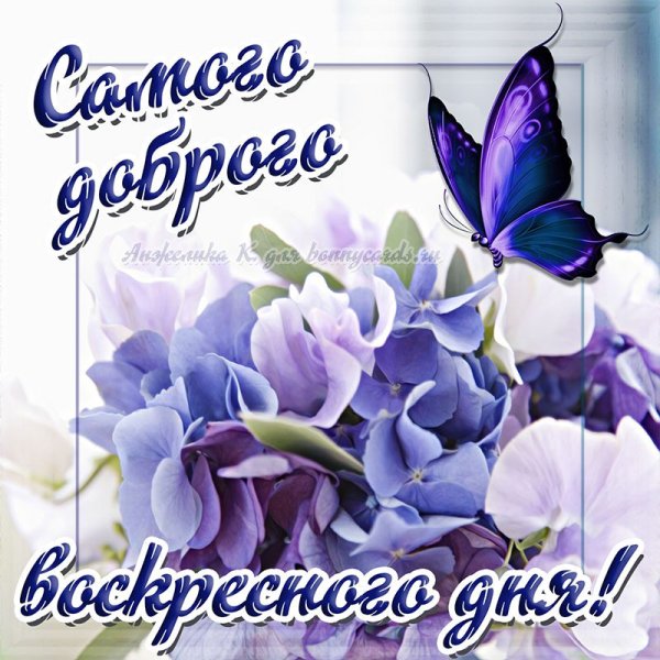 Доброго воскресенья котики