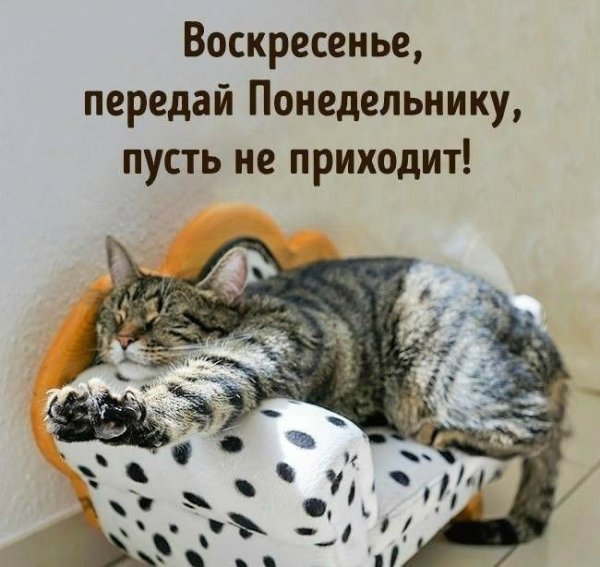 Смешные высказывания про воскресенье