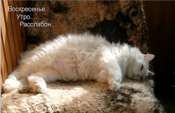 Поздравление с воскресеньем