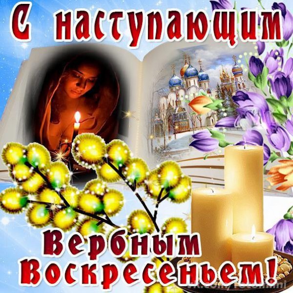 С наступающим Вербным воскресеньем