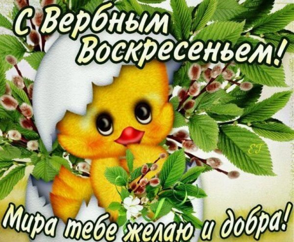 С Вербным воскресеньем открытки