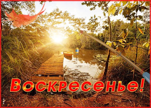 Веселого воскресенья картинки
