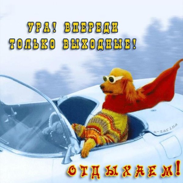 Ленивая собака