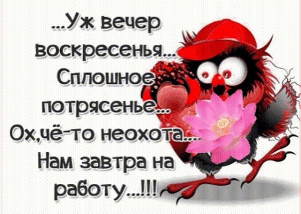 Вечер воскресенья