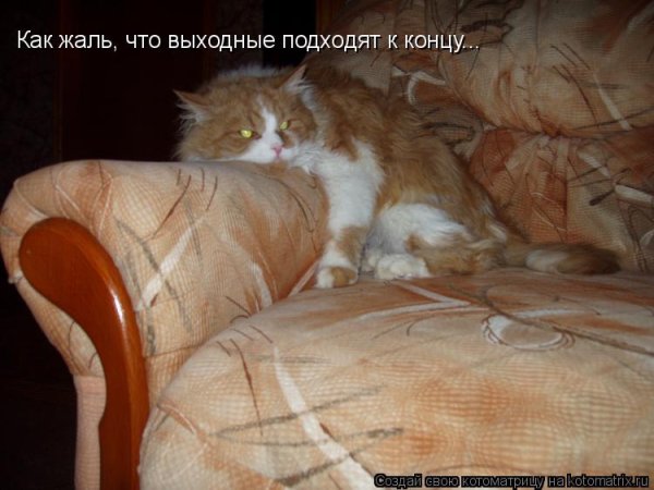 Поздравление с последним днем лета