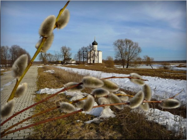 Верба с храмом пейзаж