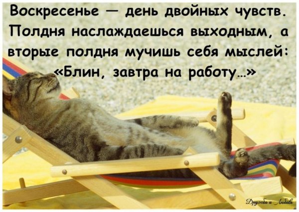 С воскресеньем с юмором