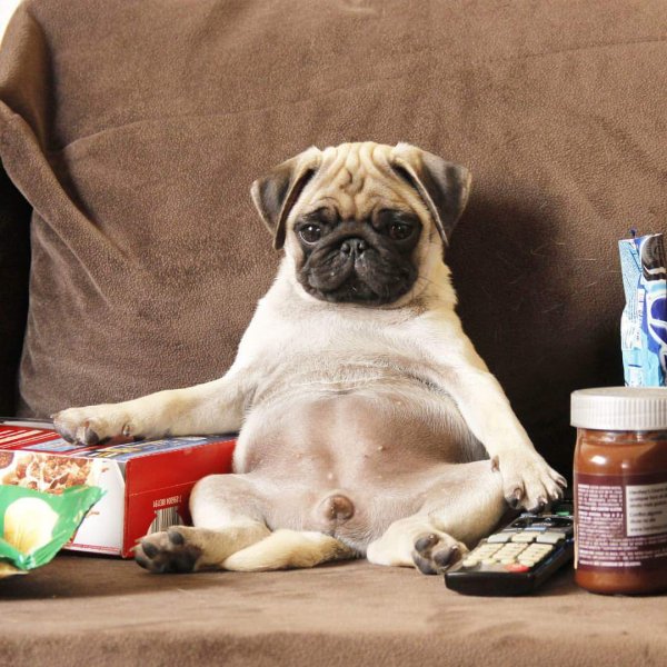 Доброе утро воскресенье прикольные