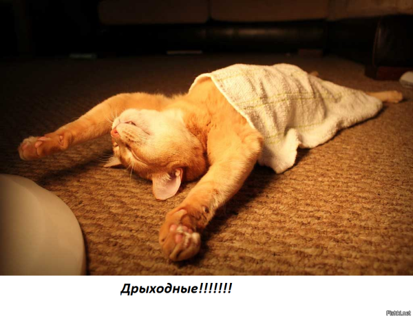 Доброго выходного дня прикольные