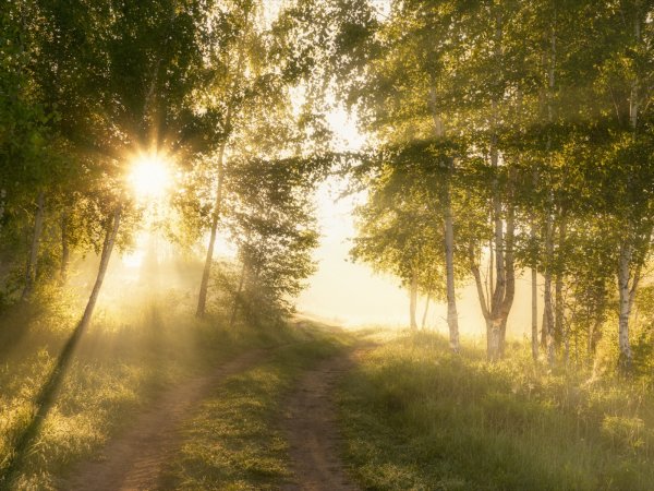 Воскресенье день солнца