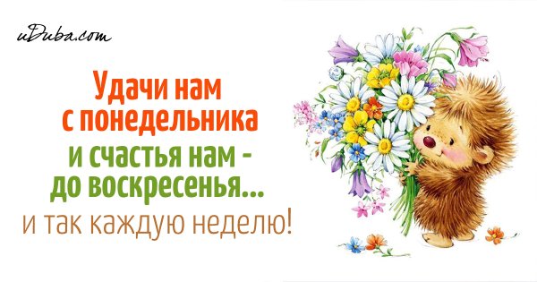 Счастья нам всем
