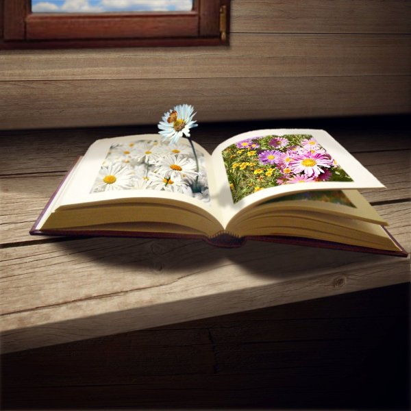 Красивые книжки