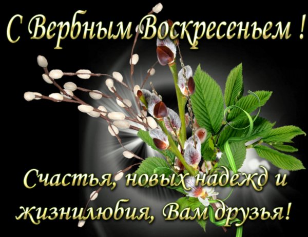 С Вербным воскресеньем открытки