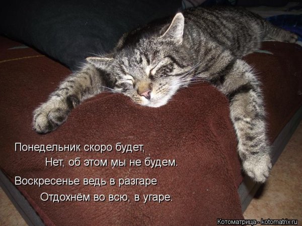 Воскресенье завтра понедельник