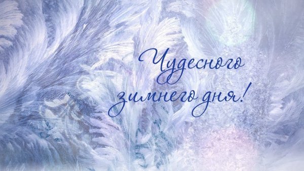 Чудесного зимнего дня