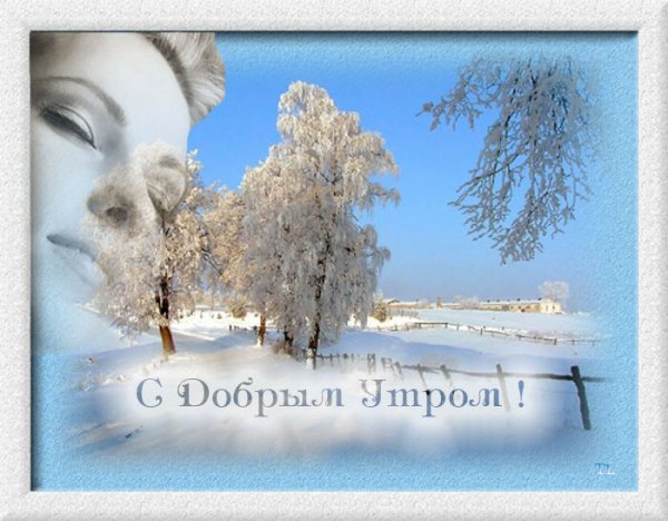 Доброго солнечного зимнего дня