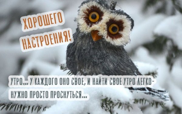 С добрым снежным утром с юмором