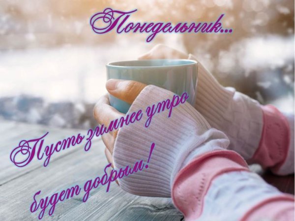 С добрым зимним утром понедельника