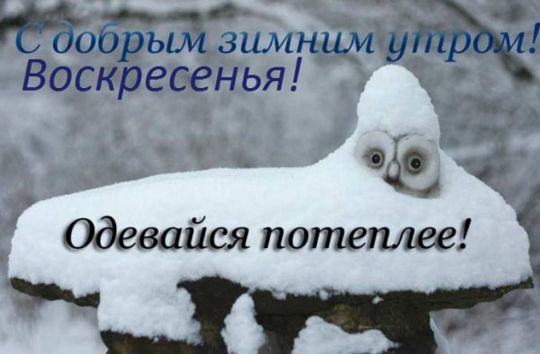 С добрым зимним утром прикольные