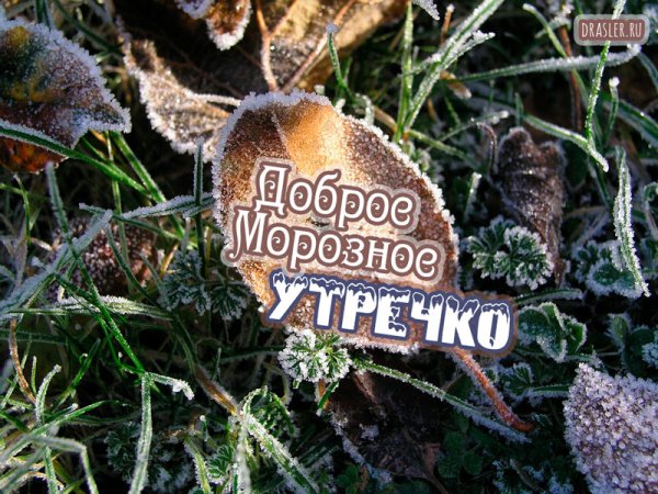 Доброе утро морозец