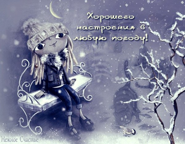 Доброе дождливое и Снежное утро