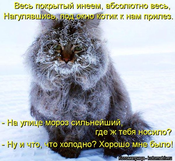 Открытки про холод