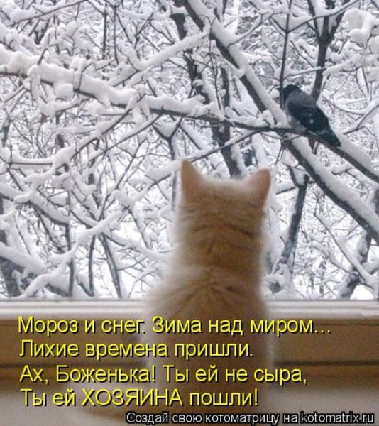 Добро утро зима пришла