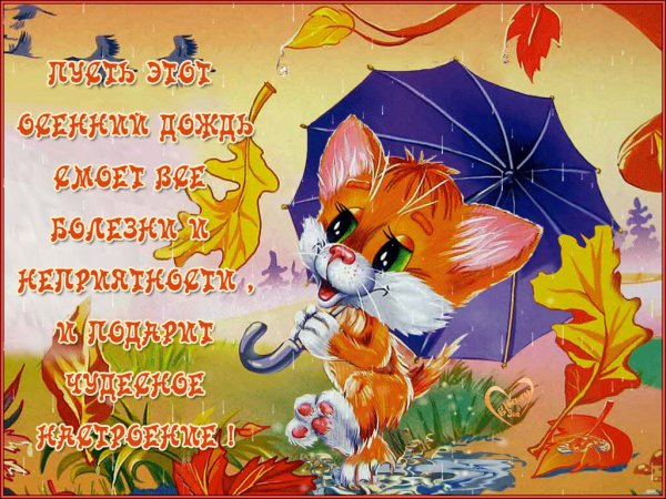Пожелания в дождливый день