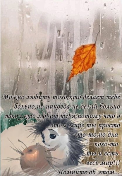 Поздравление с дождем