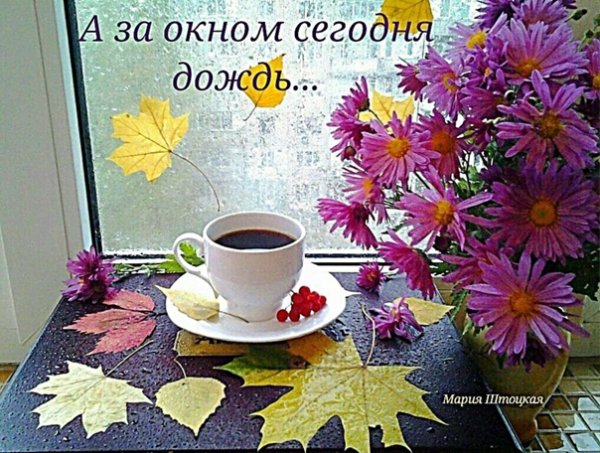 С дождливым утром субботы