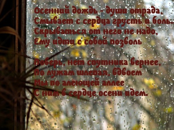 Дождливый день стихи