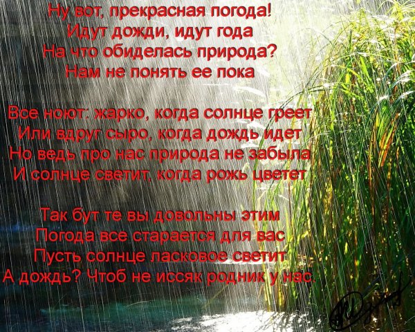 Дожди: стихи