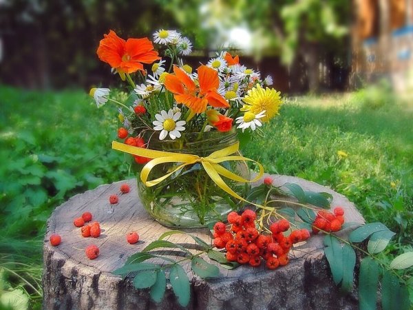 Доброе летнее утро августа