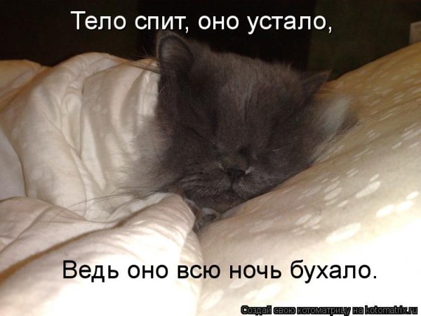 Ночью всем спать
