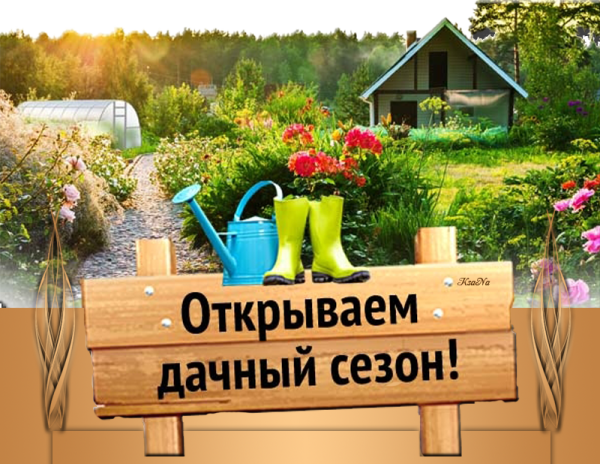 Открытие дачного сезона